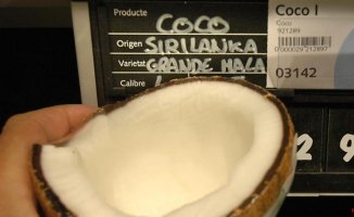 Coconut: nutritional value, benefits, properties and how to know when it is ready