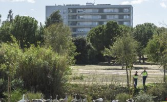 The body found in the lagoon of a park in Seville is that of the young man who disappeared in Torreblanca