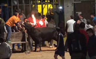 The anti-bullfighters denounce the attempt to stop the bullfighting veto law