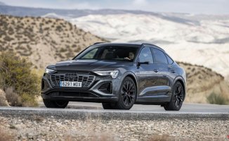 Electric in a big way: the Audi Q8 Sportback reaches perfection