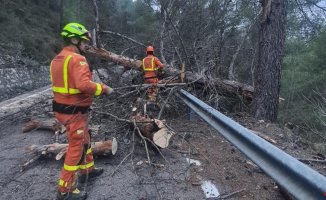 Fires, fallen trees, diverted flights, suspended trains... the storm hits Valencia
