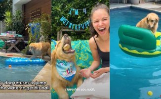 The ingenious skills of a golden retriever to save his favorite ball from the pool