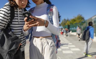 Educators and psychologists question the effectiveness of the mobile phone ban