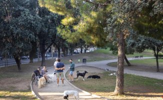 Barcelona updates fines for off-leash dogs