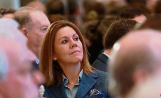 The Court orders to summon Cospedal as a witness due to pressure on Bárcenas' lawyer