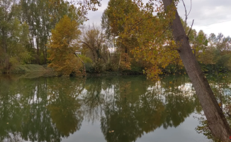The mirror of autumn in the waters of the Ter