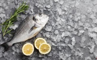 How long can fish stay (without spoiling) in the refrigerator?