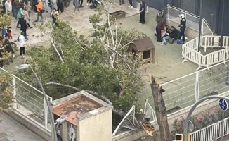 Nine injured after a tree falls on a school in Barcelona