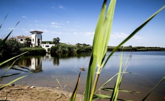 Plan to improve the water of La Ricarda in El Prat de Llobregat