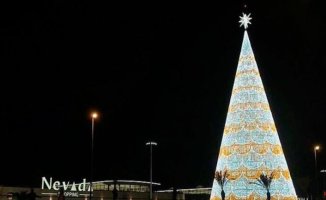 Neither Badalona, ​​nor Vigo, nor Cartes: the tallest Christmas tree in Spain will be in Granada