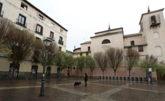 Two young people stabbed slightly for robberies in the Madrid neighborhood of Malasaña