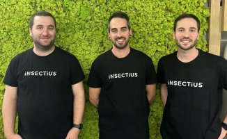 Insectius receives an investment of 200,000 euros to produce edible protein from insects