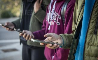 Maximum pressure from schools and institutes for the Government to regulate the use of mobile phones