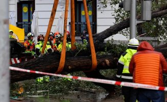 The 'Ciarán' storm leaves at least seven dead in Europe, one of them in Madrid