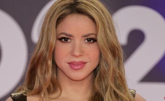 Shakira shows off her armor on the Latin Grammy red carpet