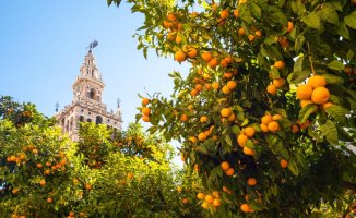 Seville for advanced people: modern corners, design and art
