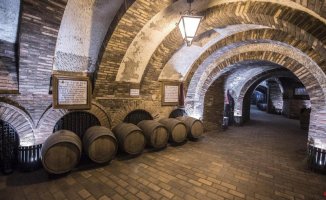 Visiting the underground wineries of the Rueda Wine Route