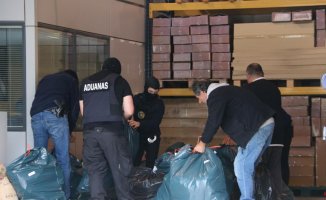 Thirteen arrested and 5,000 marijuana plants seized in Alt Empordà