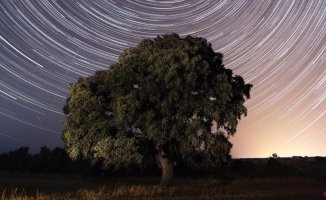 Los Pedroches, the ideal Andalusian border for seeing the stars