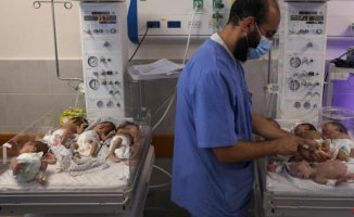 Israel now targets another hospital for alleged links to Hamas after evacuating 31 babies from Al Shifa