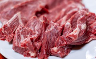 What are the benefits of horse meat