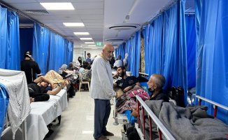 WHO loses communication with Al Shifa, Gaza's largest hospital