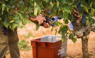 The secrets of the success of one of Rioja's leading wineries at an international level