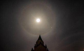 The lunar halo traps Venus