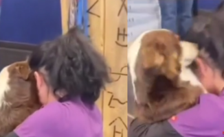 The tremendous reaction of a lost dog upon being reunited with its owner: "They already made me cry"