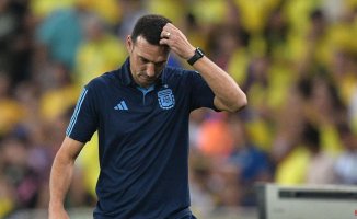 Scaloni and his future with Argentina: “I need to think, it's time to stop the ball”
