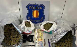 Six arrested with 9 kilos of marijuana in the parking lot of a hotel in Barberà del Vallès