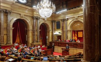 ERC, Junts, PSC and COMMONS register a law to prevent pedophilia crimes from prescribing