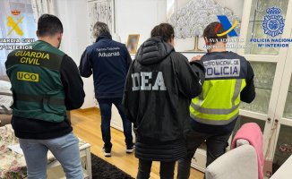 Five arrested in Spain and Holland for drug trafficking and money laundering
