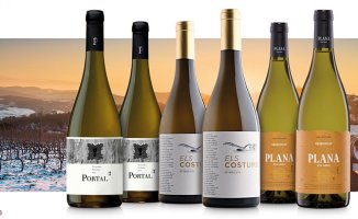 Terra Alta white wines, the pairing you need to succeed this winter
