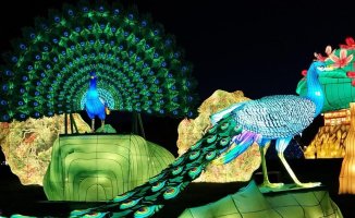 Brilla Zoo recreates the jungle or desert in Madrid with 400 illuminated animals: schedules and prices