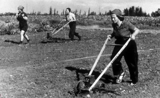 Kibbutz: the agrarian communes that shaped Israel