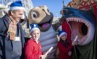 The Oceanogràfic presents its Christmas Festival with workshops on ocean protection