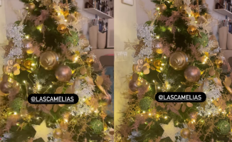 Terelu Campos shows the Christmas decoration of her house in her saddest year: "I had to do it for her"