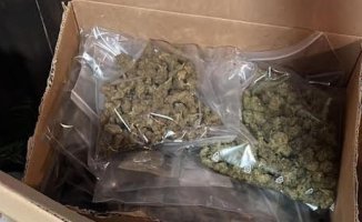 Two members of a Badalona cannabis association investigated for drug trafficking