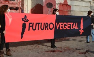 15 Futuro Vegetal activists arrested for actions committed in Madrid