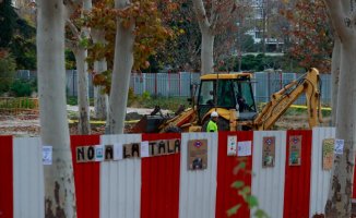Can the felling of more than 500 trees to expand metro line 11 in Madrid be avoided?