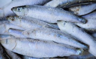 The selenium in fish benefits health and neutralizes mercury, according to scientists