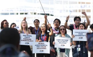 The COP28 presidency proposes to "reduce" and not "eliminate" fossil energy, and runs afoul of the EU