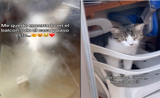 The unusual rescue of a cat to its owner trapped on the balcony