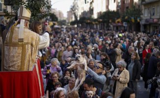 Tradition returns and with success: the pets of València blessed on Sant Antoni's day