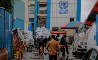 Brussels will study the suspension of funds to UNRWA after terrorism accusations