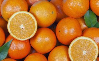 The real reason why oranges are rising in price during the flu epidemic