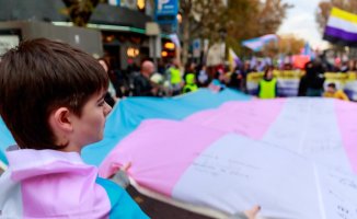Trans law offers a mediator at age 12 if parents refuse treatment