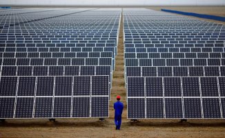 Renewables grow by 55%, the highest rate in their history