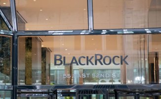 Economy analyzes the entry of BlackRock into the capital of Naturgy
